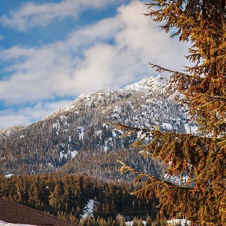 Updated Whistler Creek Studio With Parking 휘슬러 외부 사진